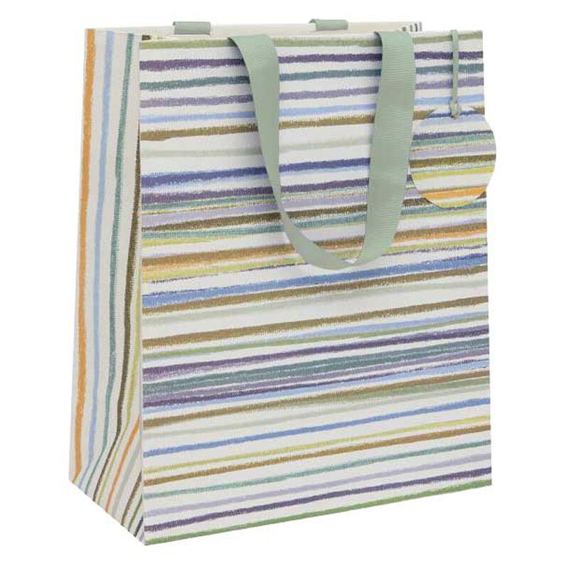 Image Gallery Sd Green Stripes Large Gift Bag image number 0